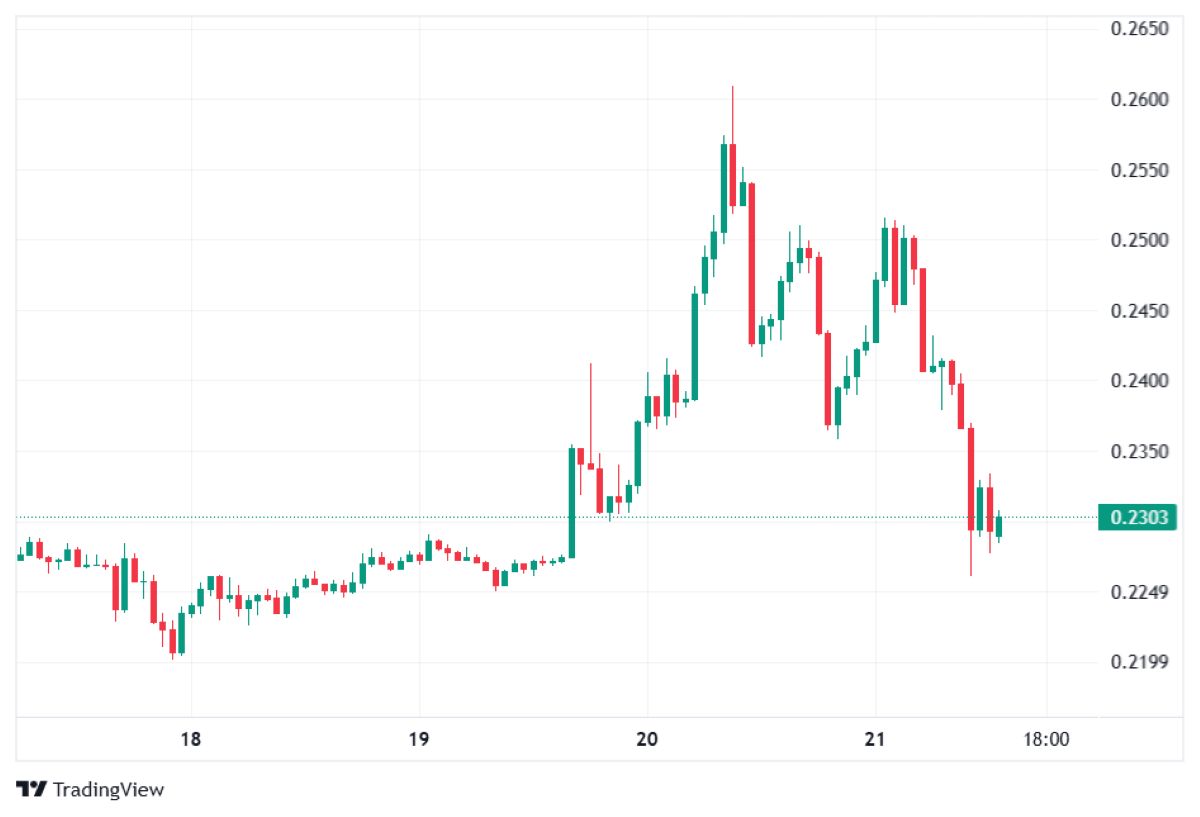 Pİ Coin fiyat hareketi