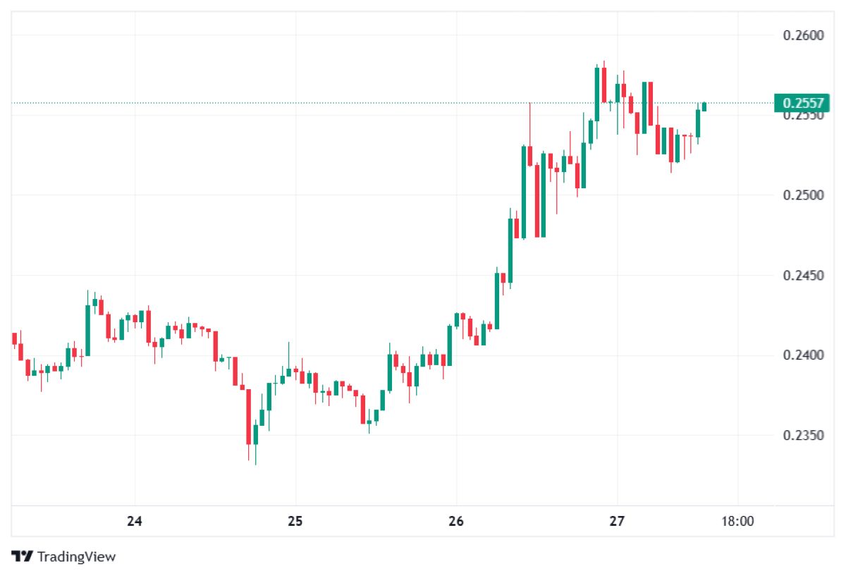 Pi Coin fiyat hareketi