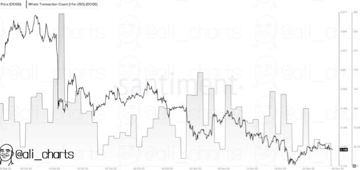 Dogecoin Yorumu: Gerçek Bir Kullanıma Sahip Olsaydı Bugün Çok Daha Farklı Görünürdü