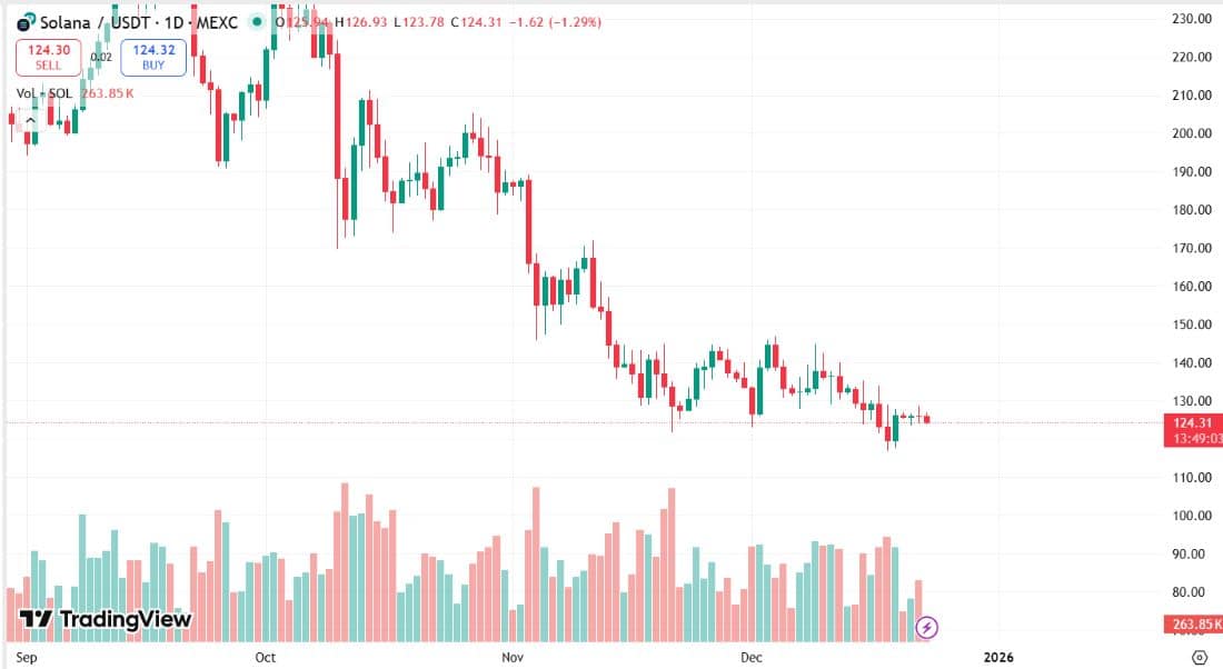 solana en potansiyelli kripto paralar