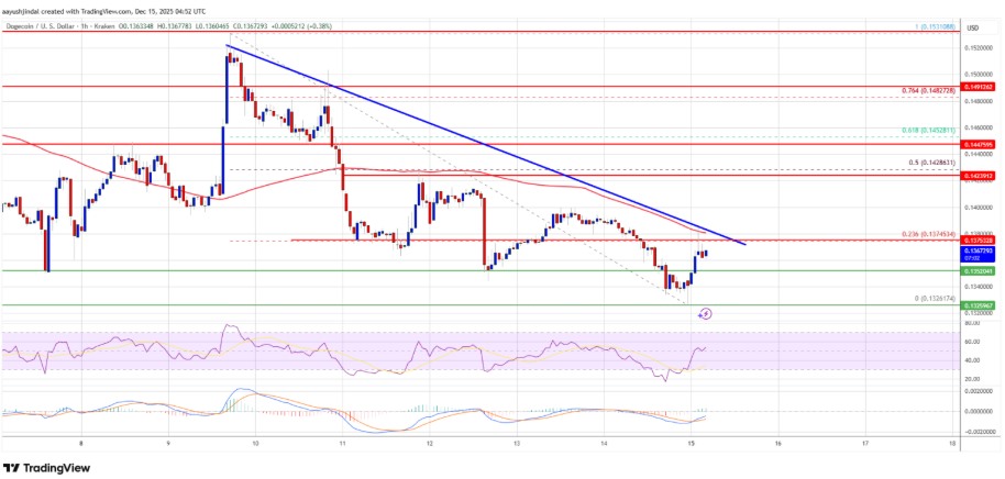 Dogecoin Fiyatı geriliyor