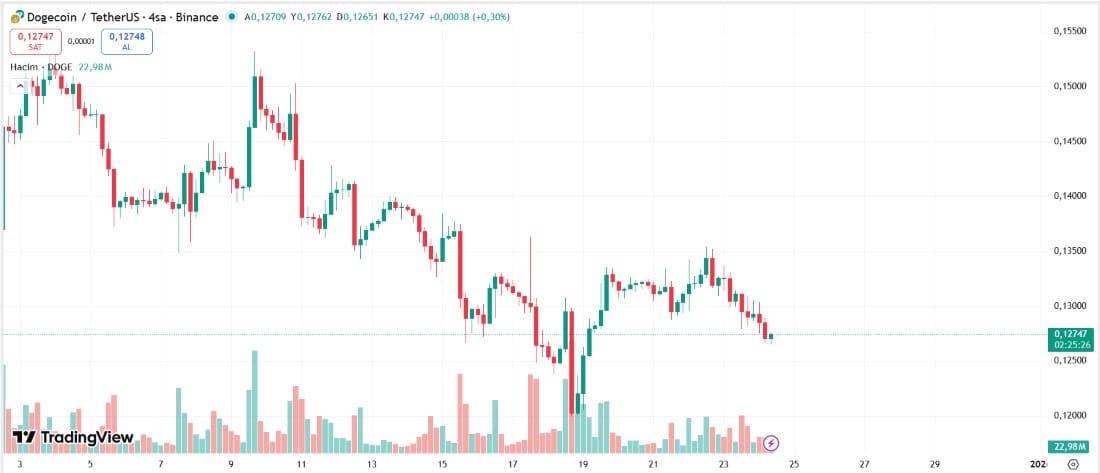 Dogecoin nereye gidiyor