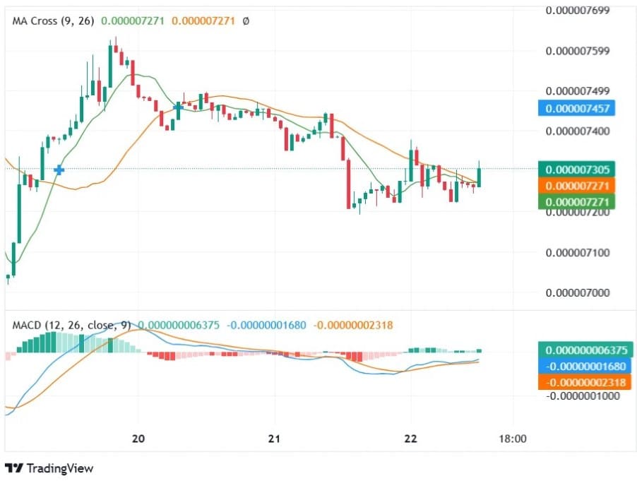 Shiba yükselecek mi