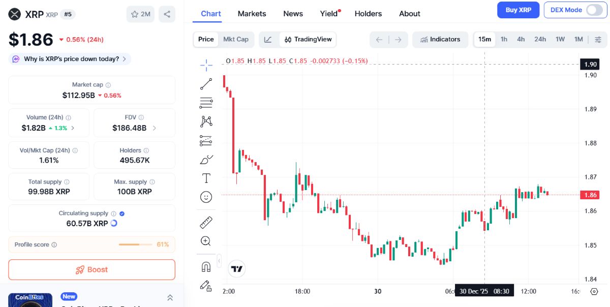 XRP 30 Aralık 2025 fiyat analizi