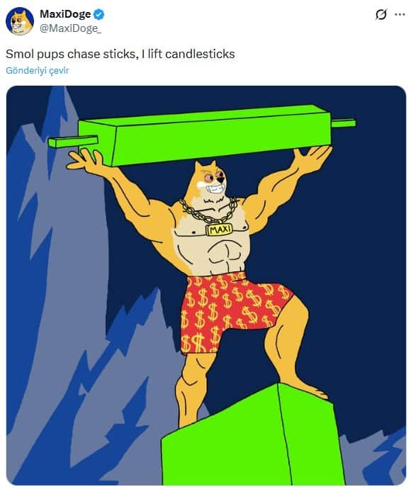 Maxı doge twitter