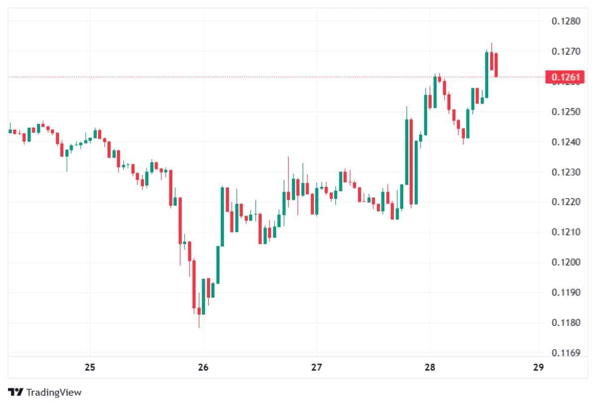 DOGE 28 OCAK 2026 FİYATI
