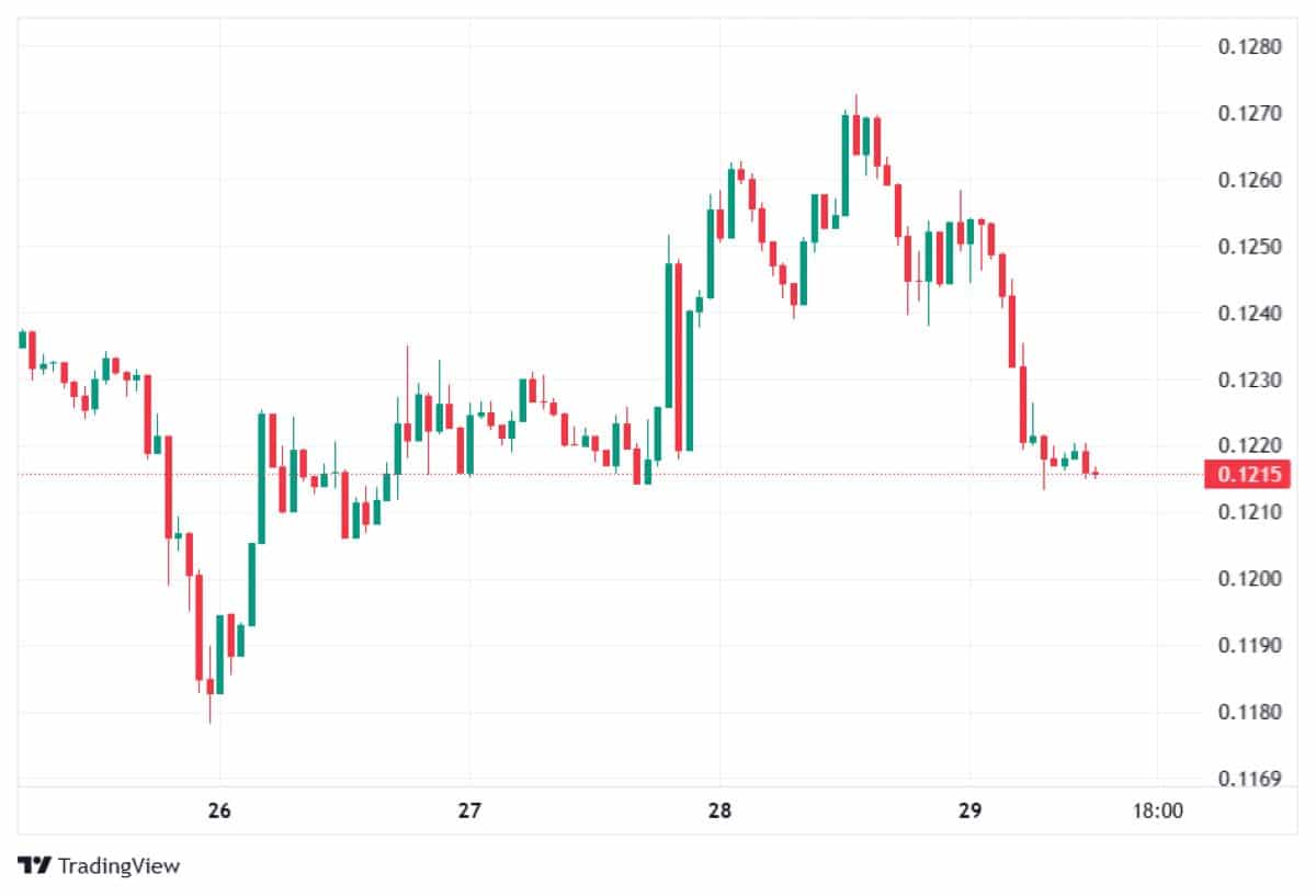 DOGE 29 OCAK 2026 FİYATI