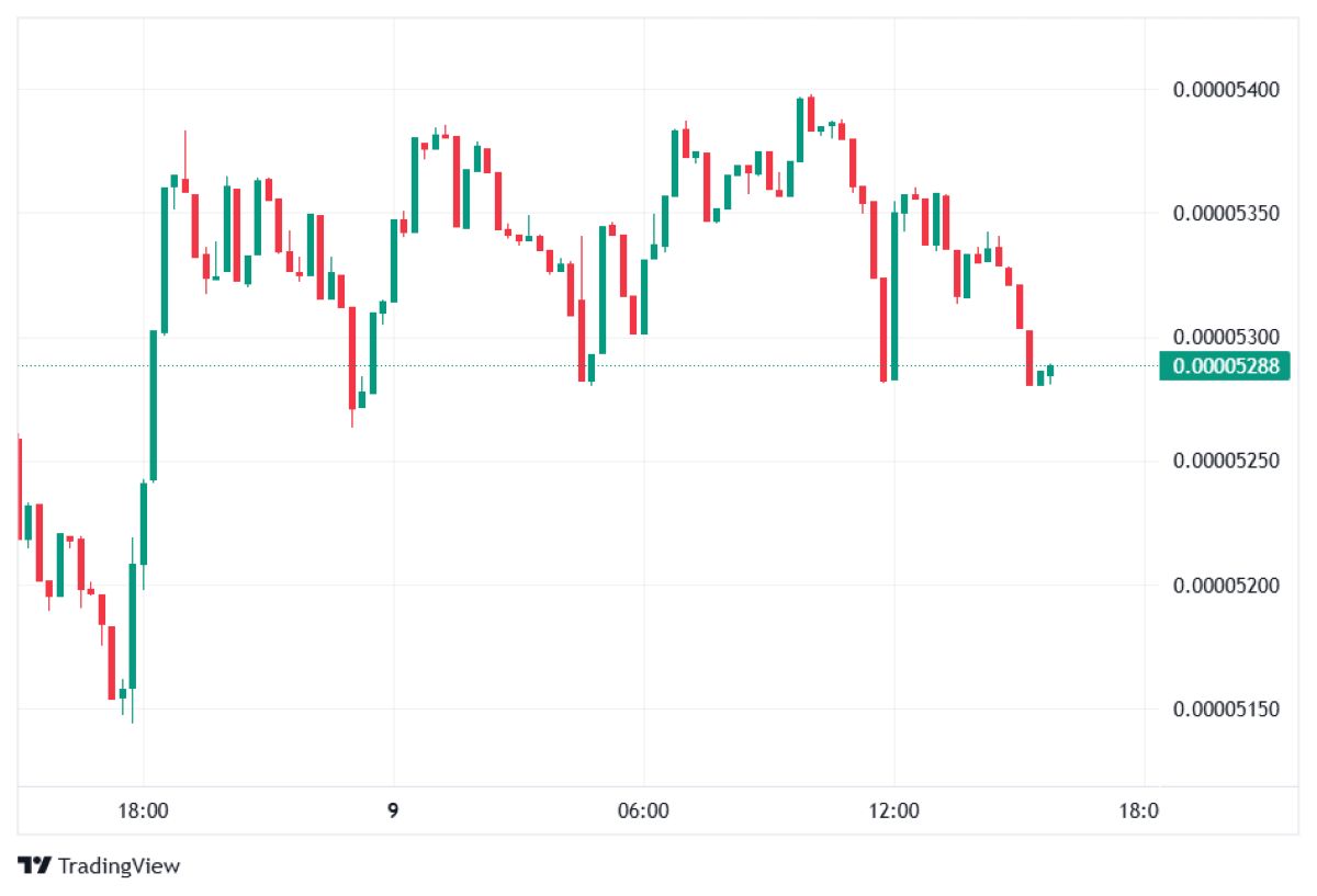 FLOKI 9 Ocak fiyatı