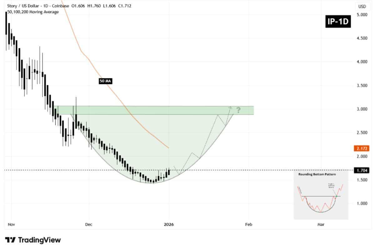 IP 1 Ocak 2026 fiyat hareketi