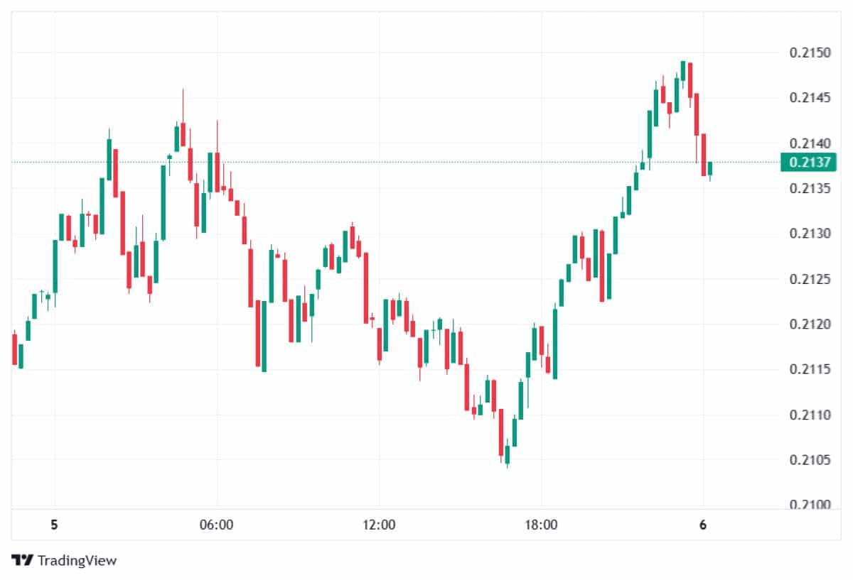 P Network 6 ocak fiyatı