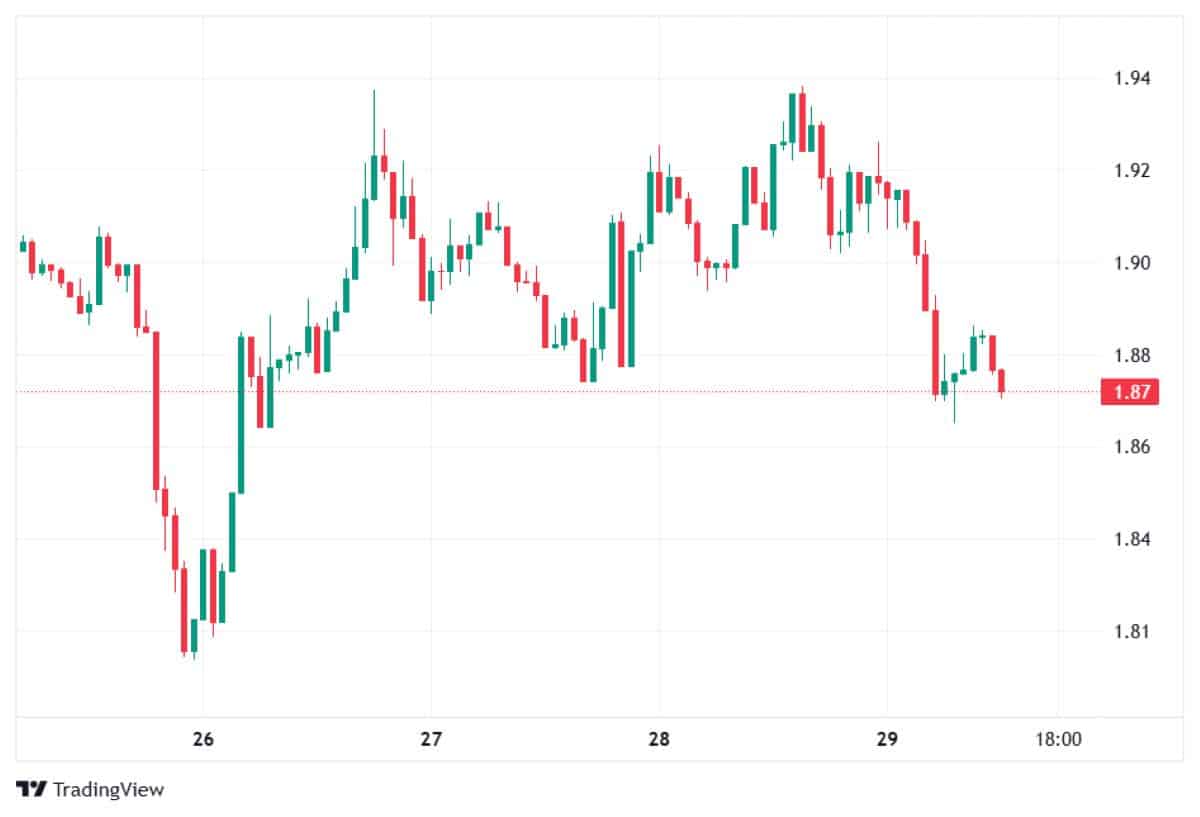 xrp 29 ocak 2026 fiyatı