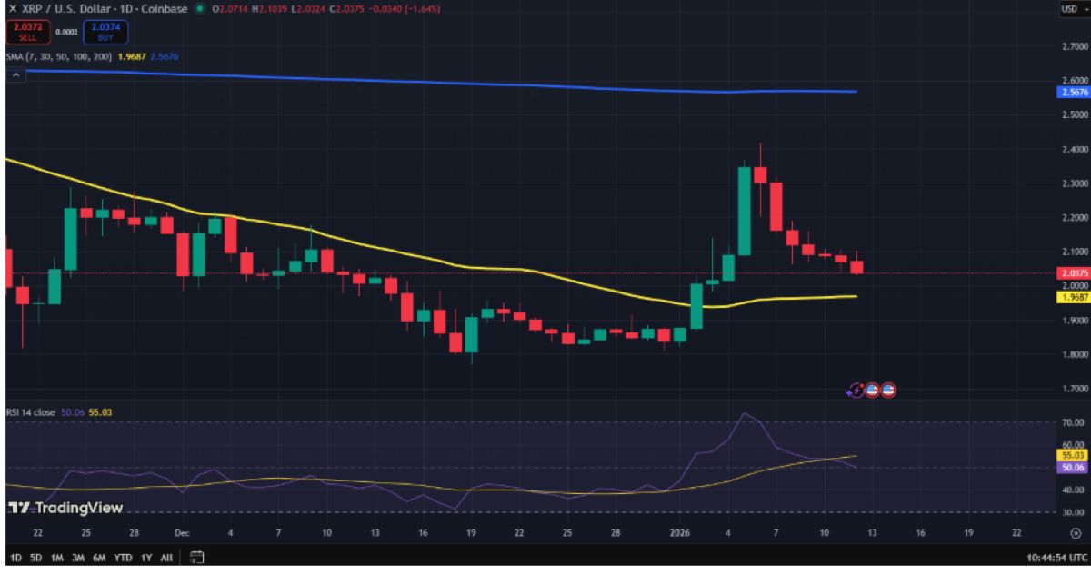 XRP 13 Ocak fiyat analizi