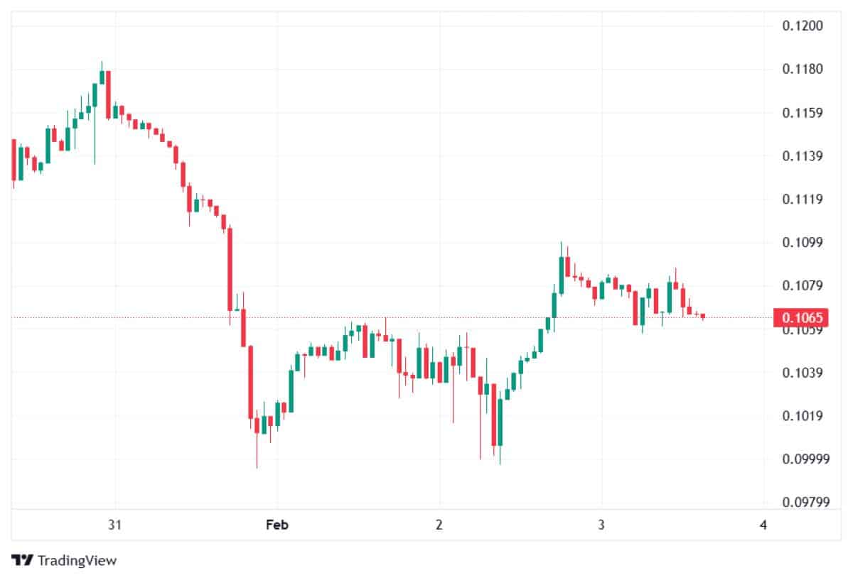 DOGE 3 ŞUBAT FİYATI