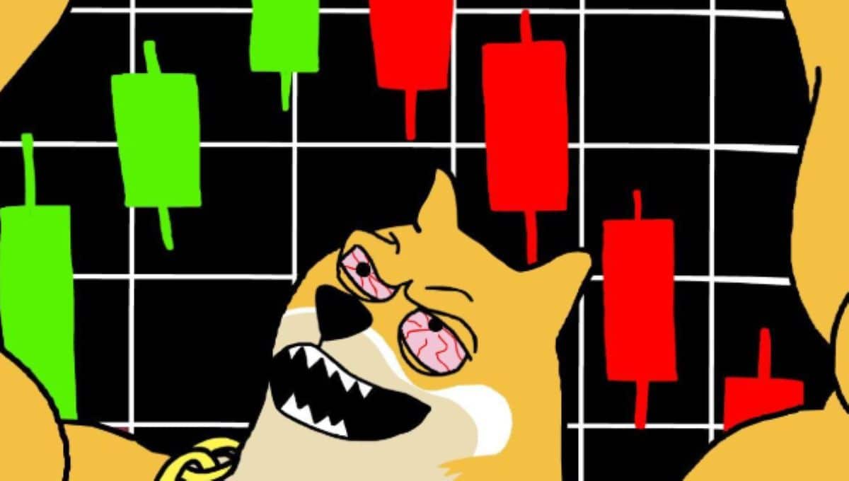 PUNCH Coin Patlaması: 1.400x Yapan Köpek Temalı Token