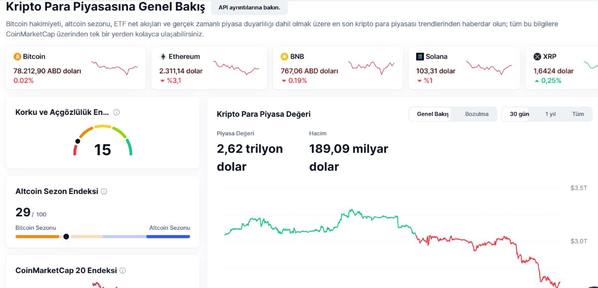 Kripto Piyasası Şubat Analizi