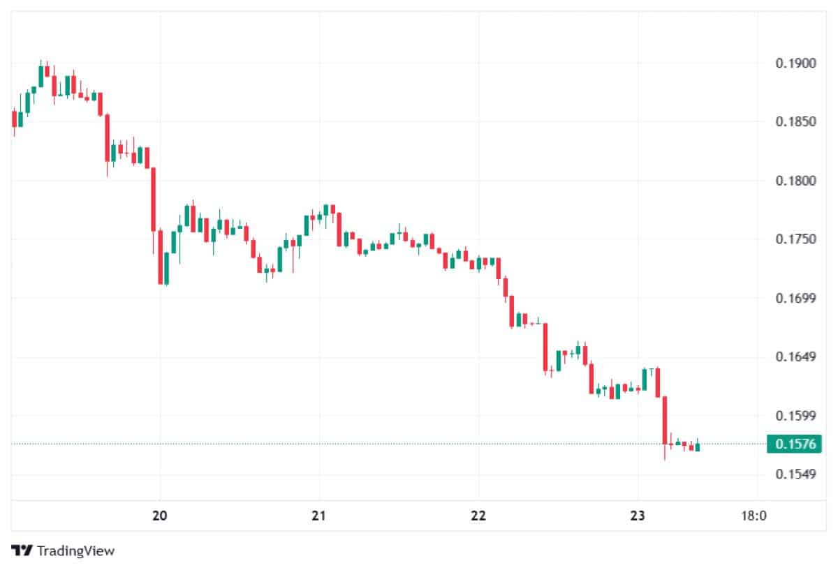 Pİ NETWORK 23 ŞUBAT FİYATI