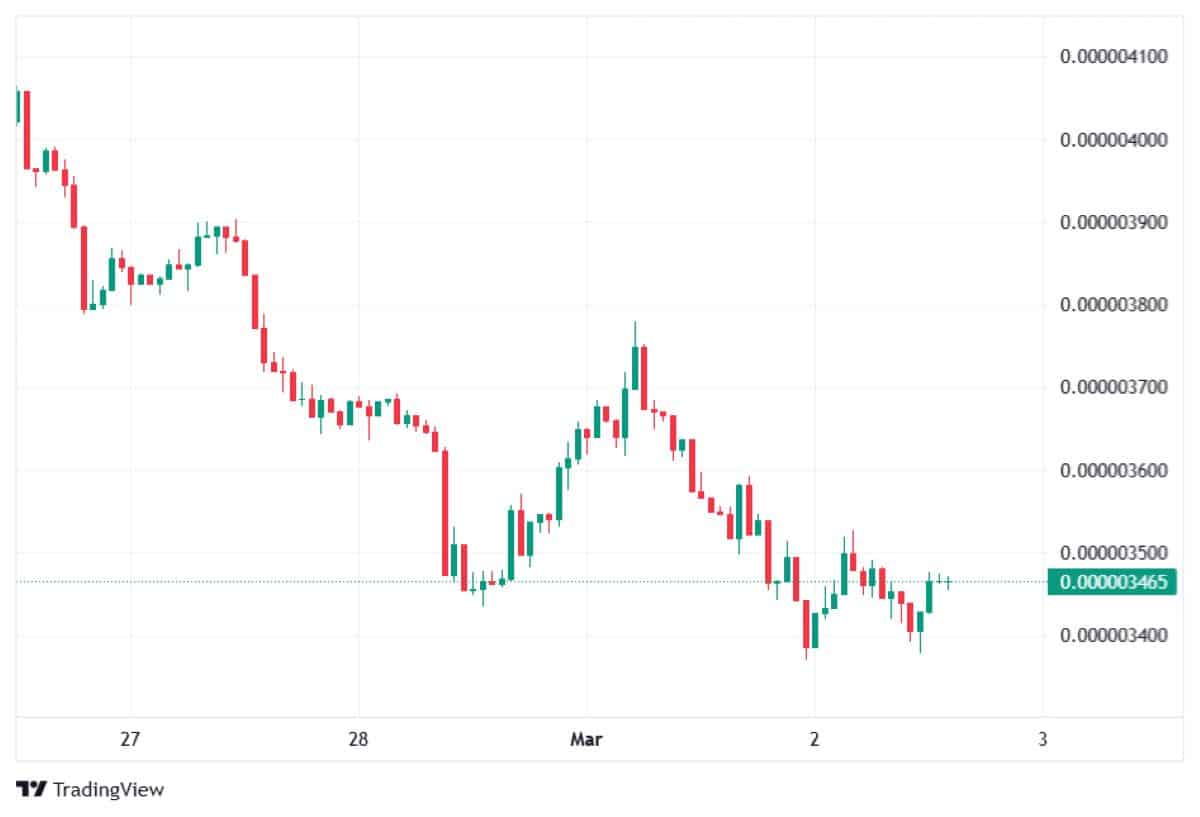 PEPE 2 MART 2026 FİYATI