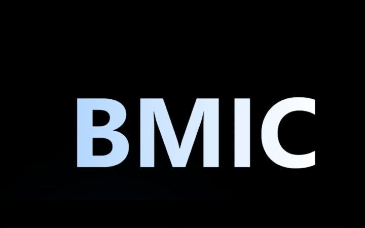 Kuantum Tehdidine Karşı BMIC Kalkanı: Belirsiz Piyasada Neden Bu Kripto Tercih Ediliyor?