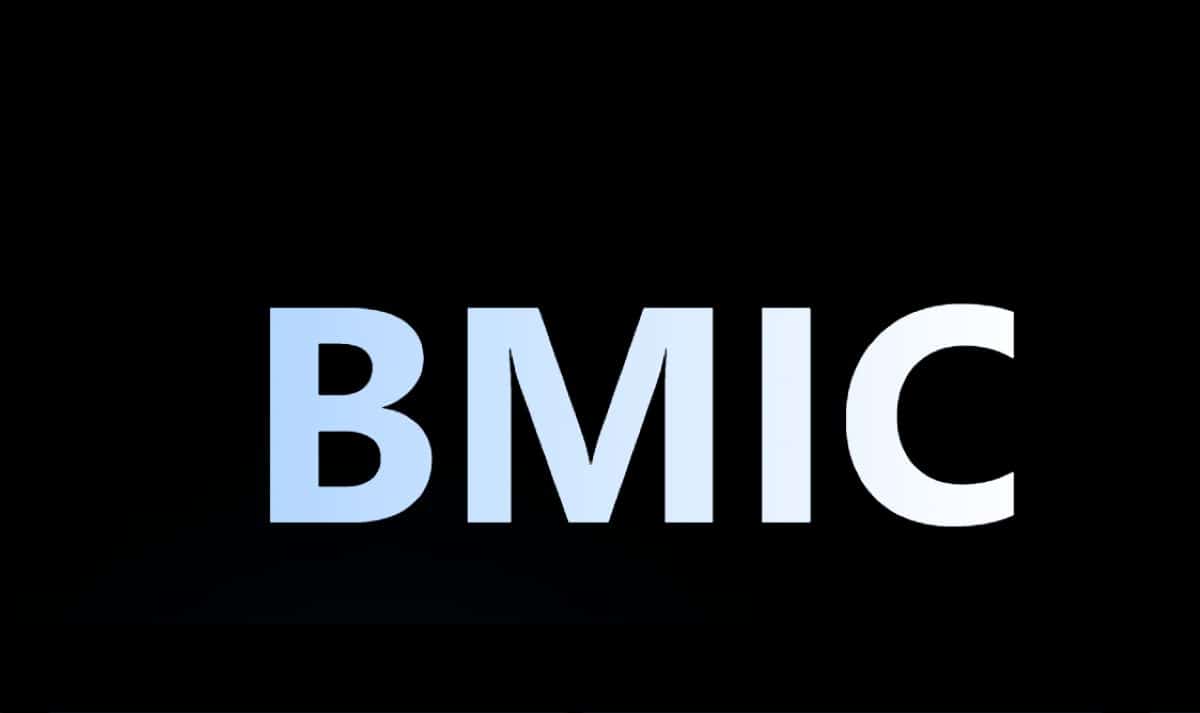 Kuantum Tehdidine Karşı BMIC Kalkanı: Belirsiz Piyasada Neden Bu Kripto Tercih Ediliyor?