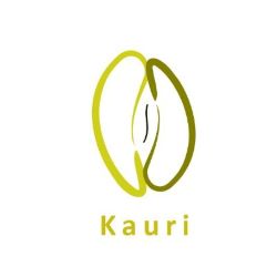 Kauri