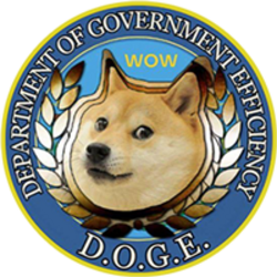 Department Of Government Efficiency