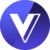 VGX Token Icon