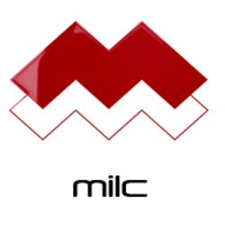 Media Licensing Token