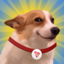 Sundog Icon