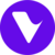Virtua Icon