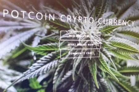 Meet Potcoin: A New Cryptocurrency to Help Ease the War on Drugs