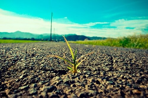 Photo: Kiki Oda/Flickr