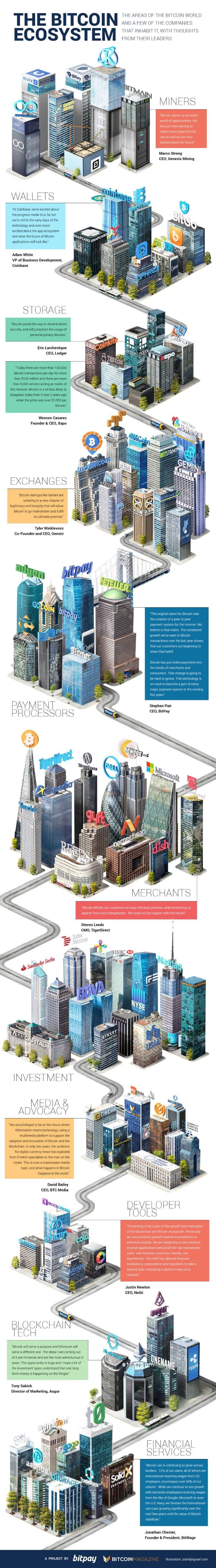 The Bitcoin Ecosystem [Infographic]