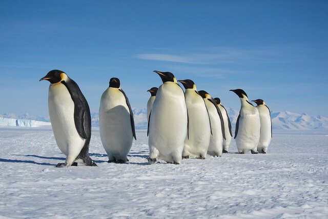 Sigfox to Expand Its Internet of Things Network in Antarctica