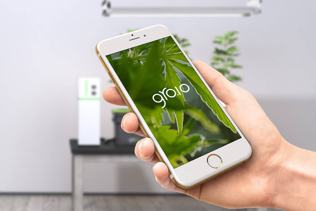 Gro.io Will Enable Users Grow Cannabis Using Internet of Things Technology