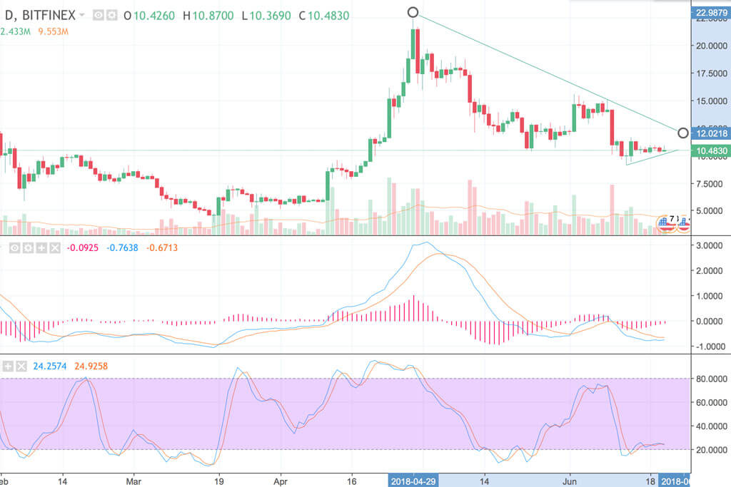 Photo: Roboforex