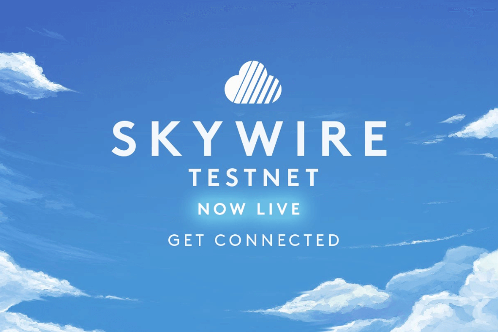 SkyCoin Reveals the Details of its Recent Testnet Service of Skywire Launch