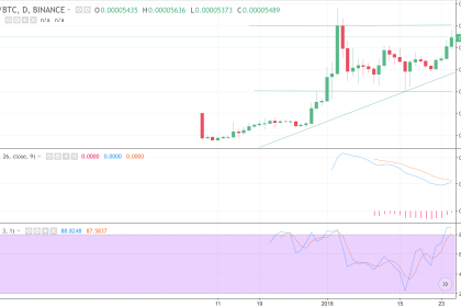 Stellar Leaves No Chance to Competition