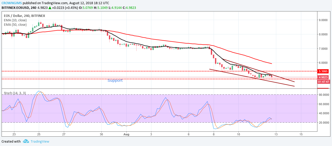 EOS Price Analysis: Trends of August 14 – 20, 2018