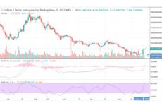 Dash Cash Price & Technical Analysis: DASH Being Actively in Demand