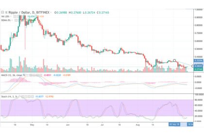 XRP Cash Price & Technical Analysis: XRP Gets Chances to Rise