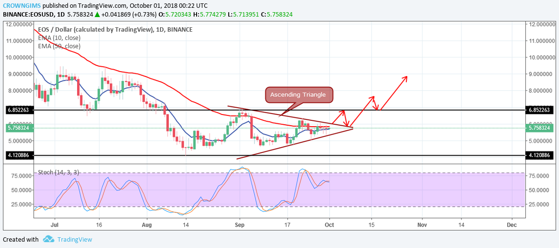 EOS (EOS) Price Analysis: Trends of October 1–7, 2018