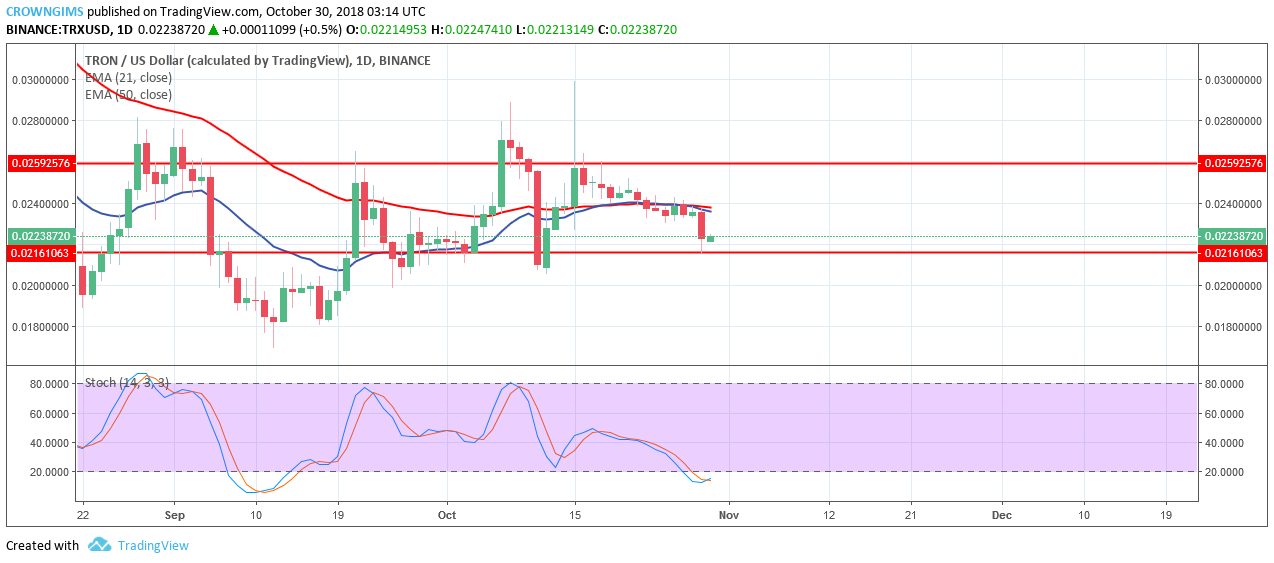 Tron Price Analysis: TRX/USD Trends of October 30–November 05, 2018