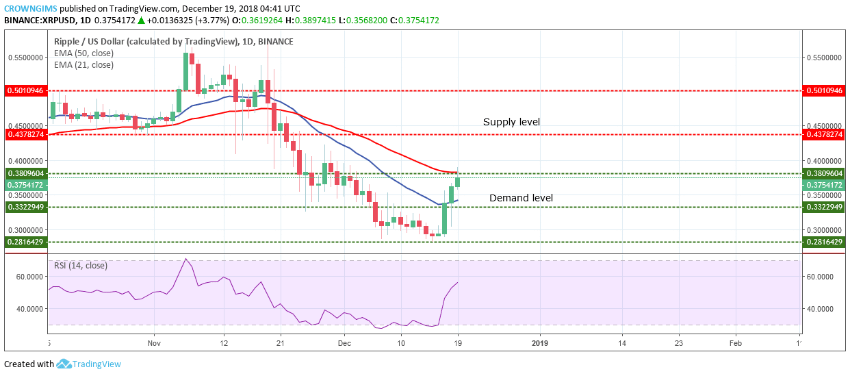 XRP Price Analysis: XRP/USD Trends of December 19–25