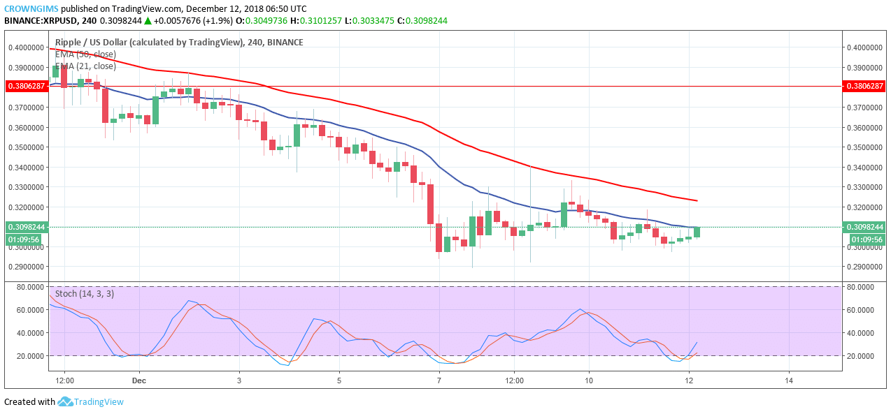 XRP Price Analysis: XRP/USD Trends of December 12–18