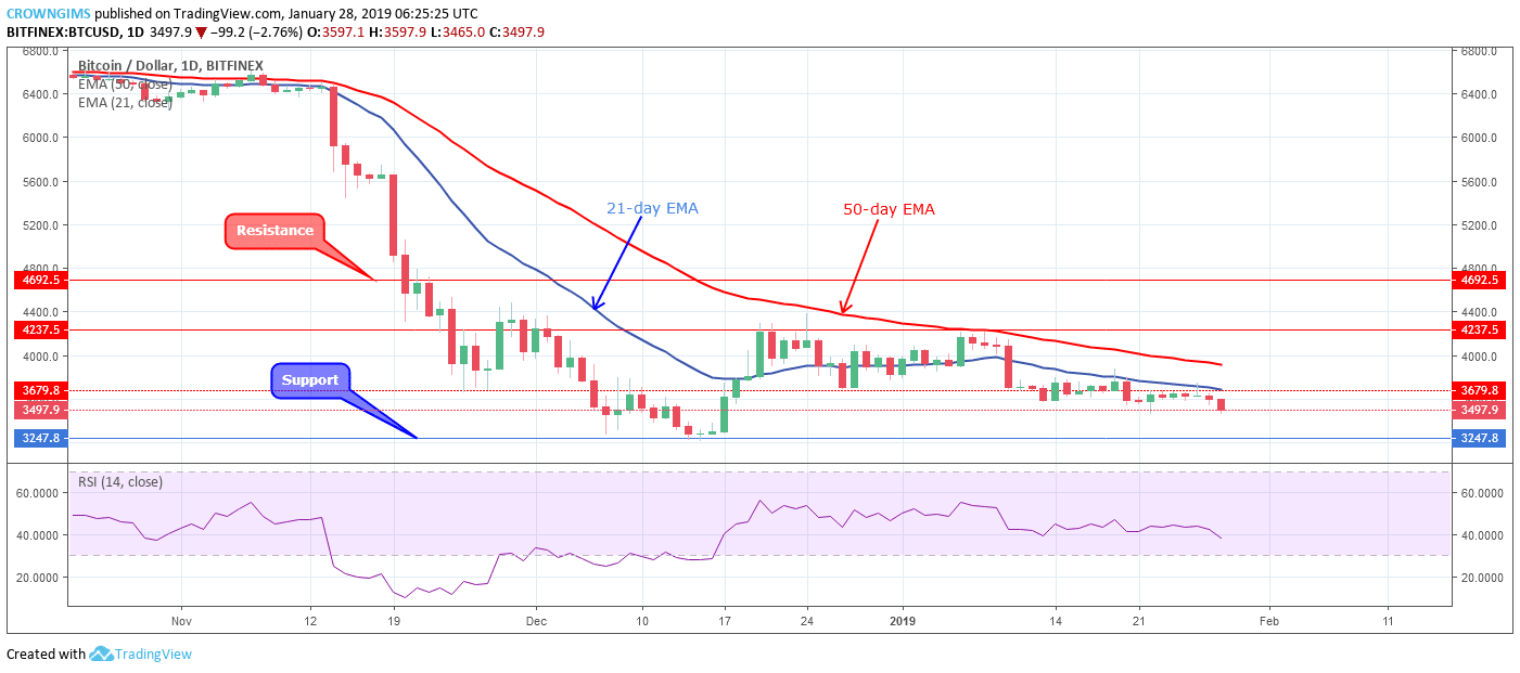 Bitcoin Price Analysis: BTC/USD Trends of January 28–February 03, 2019