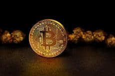 Bitcoin Has All the Chances to Become the New ‘Digital’ Gold, and Here’s Why