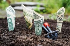Meet Some Popular Investors who Finished in Profit for the 3rd Year in a Row
