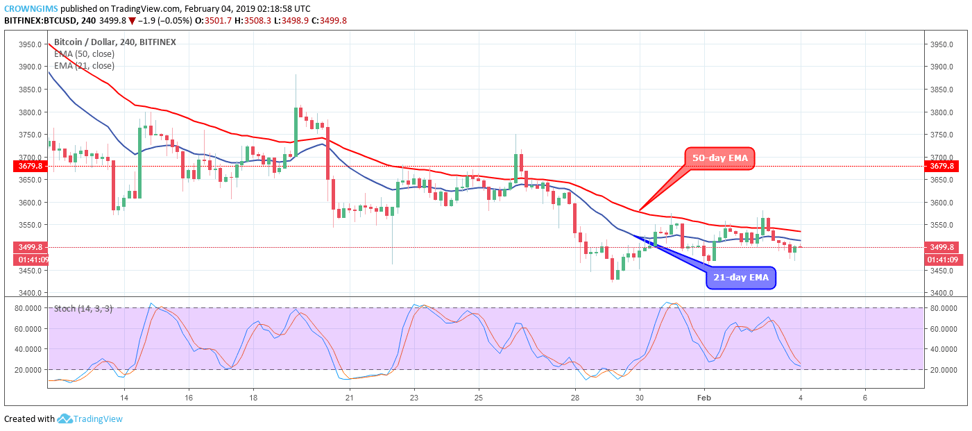 Bitcoin Price Analysis: BTC/USD Trends of February 04–10, 2019