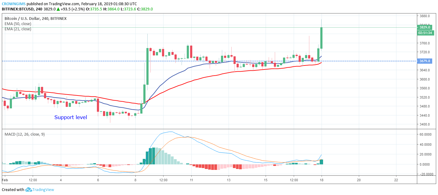 Bitcoin Price Analysis: BTC/USD Trends of February 18–24, 2019