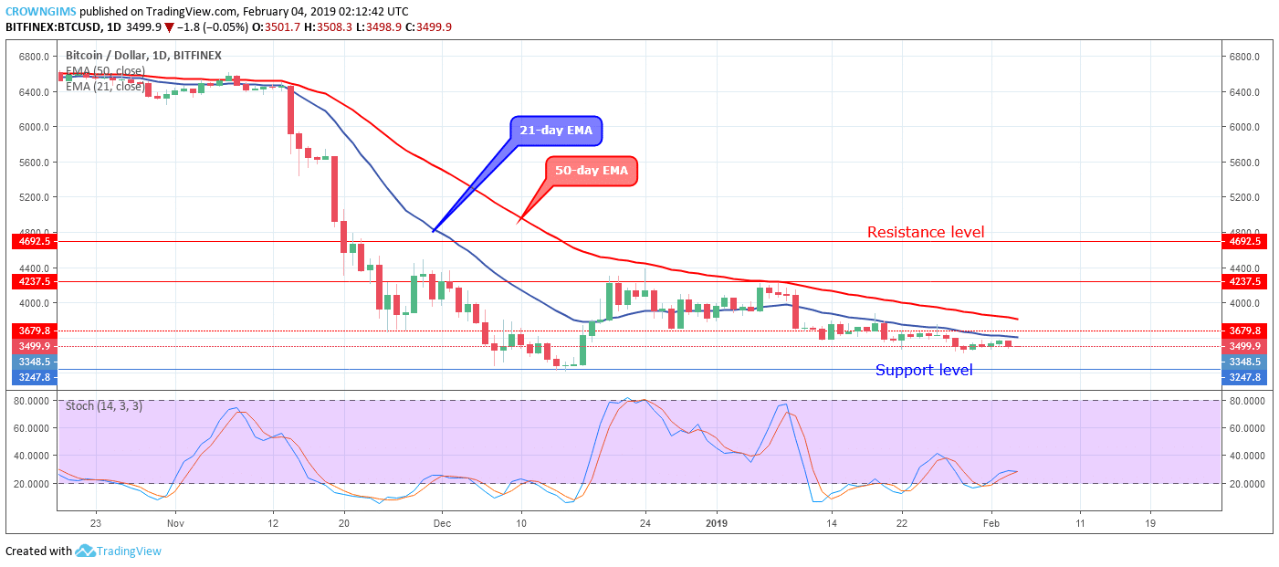 Bitcoin Price Analysis: BTC/USD Trends of February 04–10, 2019